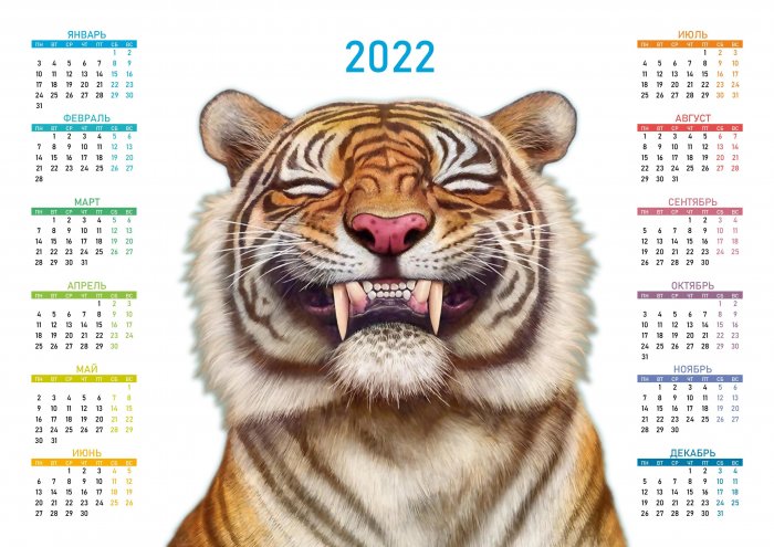 Маникюр На Новый Год 2022 С Тигром Маникюр На Новый Год 2022 С Тигром